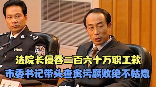 电视剧市委书记在线观看,在线见证权力与民心的较量