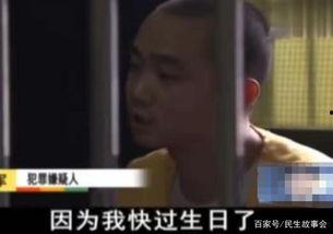 特殊房客在线观看,揭秘神秘公寓里的惊悚故事