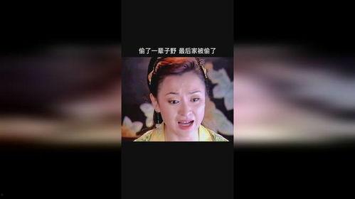 偷此一生在线观看,一场跨越时空的盗梦之旅