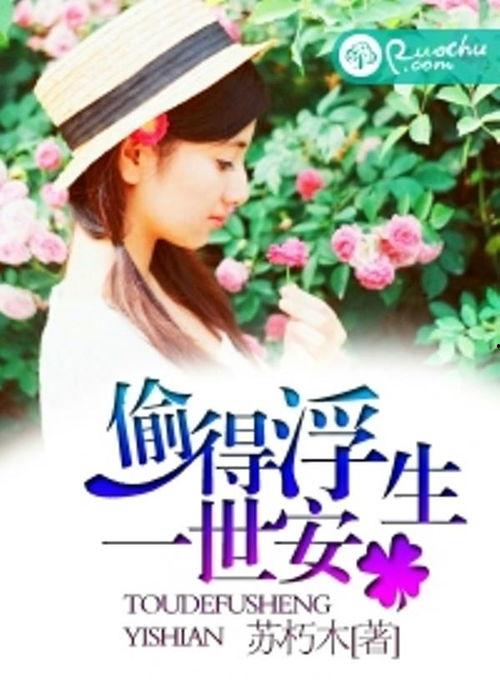偷此一生在线观看,一场跨越时空的盗梦之旅
