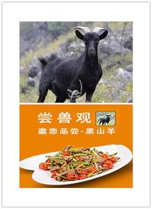 电影野味十足在线观看,一场惊心动魄的生存冒险之旅