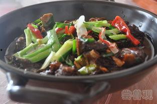 电影野味十足在线观看,一场惊心动魄的生存冒险之旅