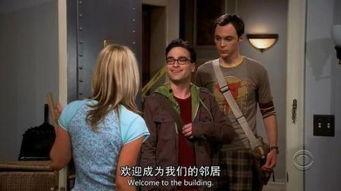 生活大爆炸第1季在线观看,天才们的欢乐碰撞