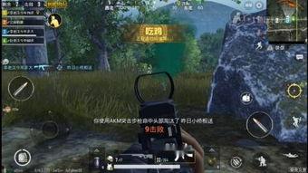 永恒 在线观看,在线观看之旅