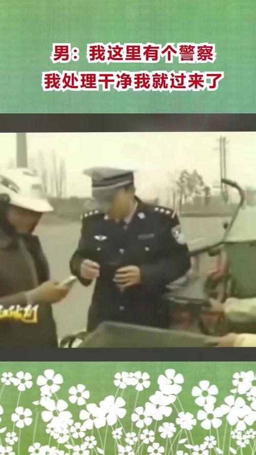 警察和我在线观看,线上揭秘警界风云