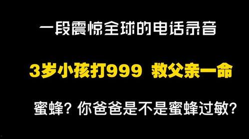 999热线在线观看,紧急救援背后的真实故事