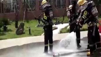 特勤中队电视剧全集在线观看,热血忠诚，守护平安全集在线观看攻略