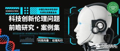 62在线伦理观看,探索数字时代的道德边界