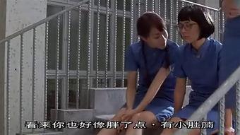 破事儿511在线观看,笑料百出，在线观看的欢乐盛宴