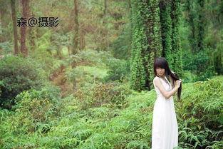 丛林少女在线观看,探险之旅，揭秘原始森林的神秘面纱