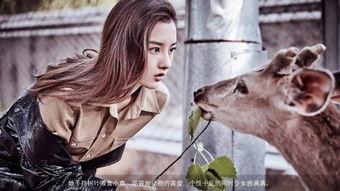 丛林少女在线观看,探险之旅，揭秘原始森林的神秘面纱