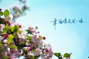 幸福像花儿一样全集在线观看56,绽放人生美好瞬间