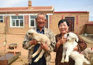 幸福像花儿一样全集在线观看56,绽放人生美好瞬间
