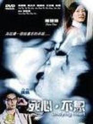 死心不息在线观看,一场不屈不挠的在线情感之旅