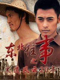东北往事之黑道风云20年全集在线观看,揭秘黑道风云，重温传奇岁月